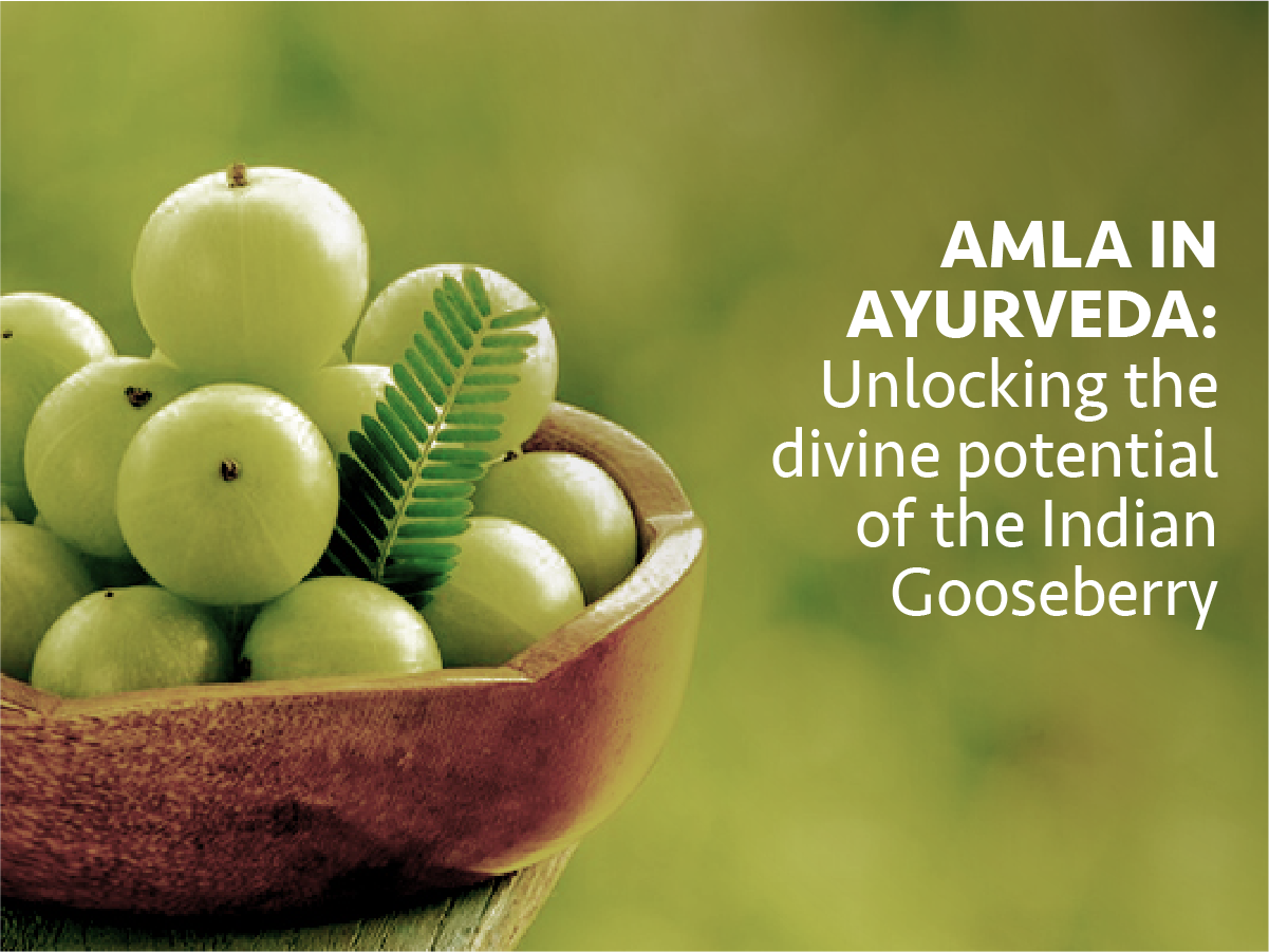 Amla in Ayurveda: Unlocking the Divine Potential of the Indian Gooseberry