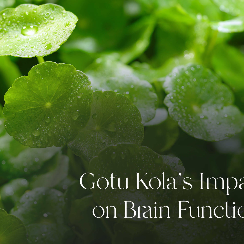Uncovering the Wonders of Gotu Kola: 5 Insights from Recent Studies
