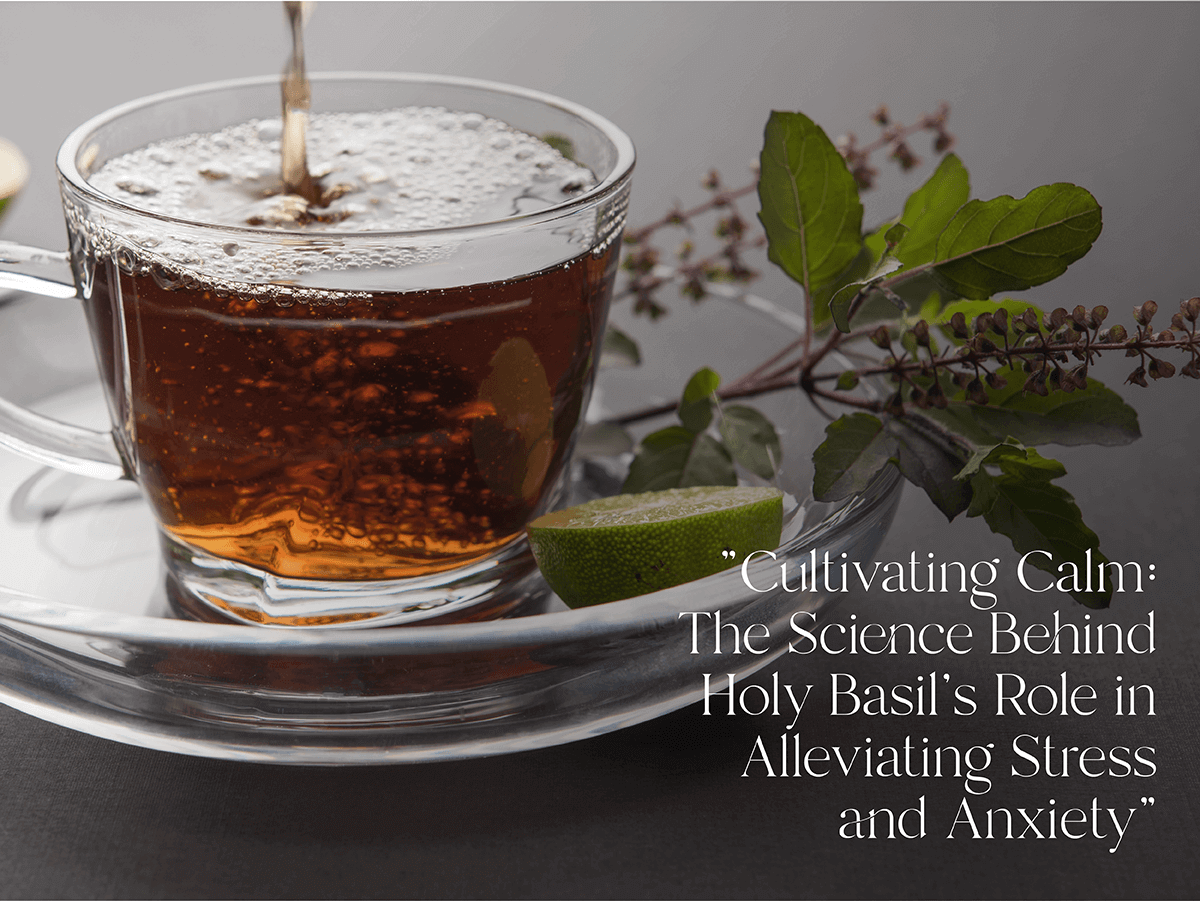 Cultivating Calm: The Science Behind Holy Basil's Role in Alleviating Stress and Anxiety